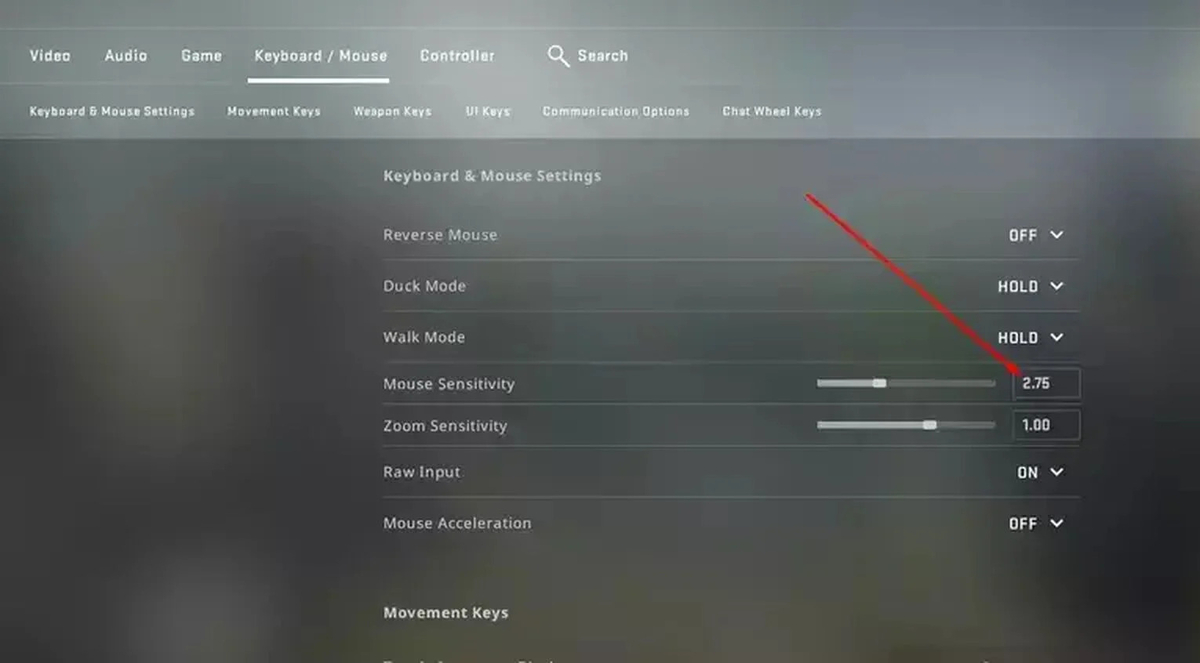 image of in-game mouse sensitivity for better gameplay as Counter Strike 2 tips